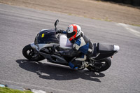enduro-digital-images;event-digital-images;eventdigitalimages;lydden-hill;lydden-no-limits-trackday;lydden-photographs;lydden-trackday-photographs;no-limits-trackdays;peter-wileman-photography;racing-digital-images;trackday-digital-images;trackday-photos